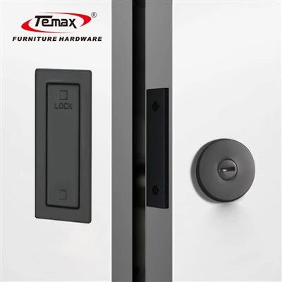TEMAX Zenk alyaj entegre fantom pòt fèmen X002